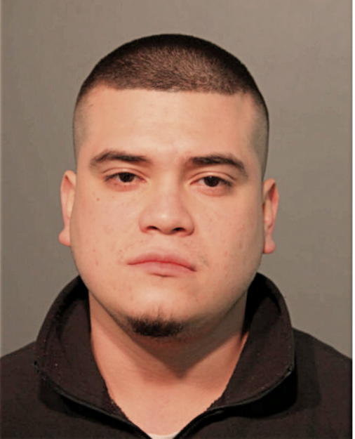 DANIEL GRANADOS, Cook County, Illinois