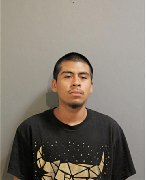 GIOVANNY A GRANADOS, Cook County, Illinois