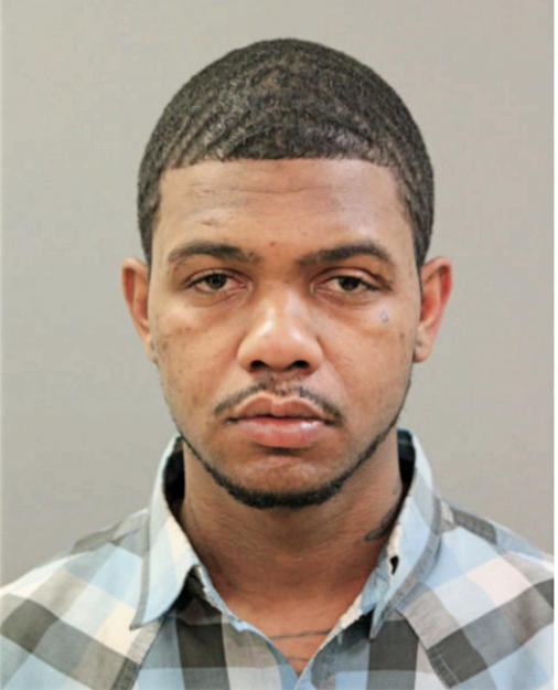 BLAKE D HOLLIMAN, Cook County, Illinois