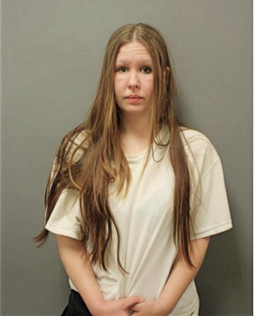 KRYSTIN H KAMINSKI, Cook County, Illinois