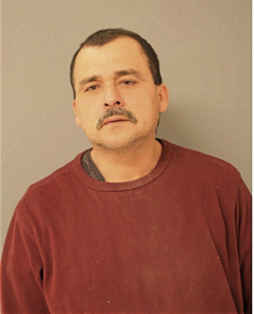 ALEJANDRO LAGUNAS, Cook County, Illinois