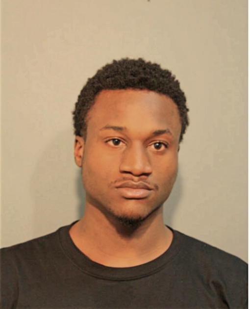 SAMUEL L LEWIS, Cook County, Illinois