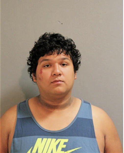 GERARDO A MORENO, Cook County, Illinois