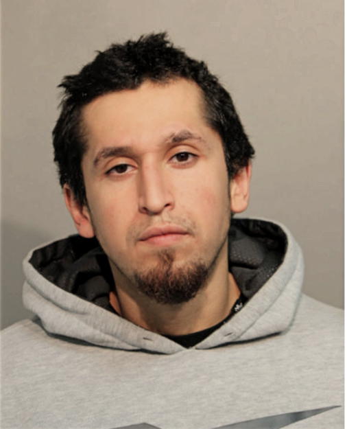 VICENTE NAVARETTE, Cook County, Illinois