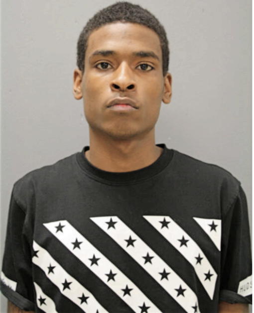 DEONTA R NOBLE, Cook County, Illinois