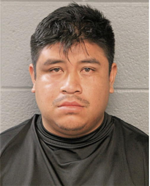 LUIS G SALINAS, Cook County, Illinois