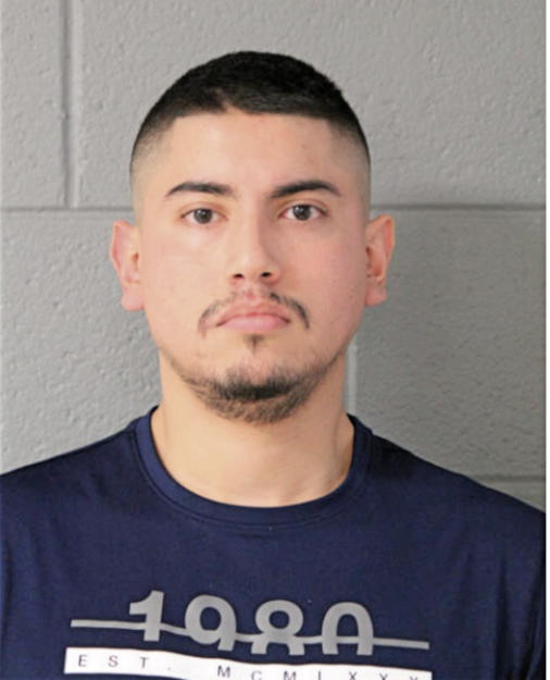 GUSTAVO SOSA, Cook County, Illinois
