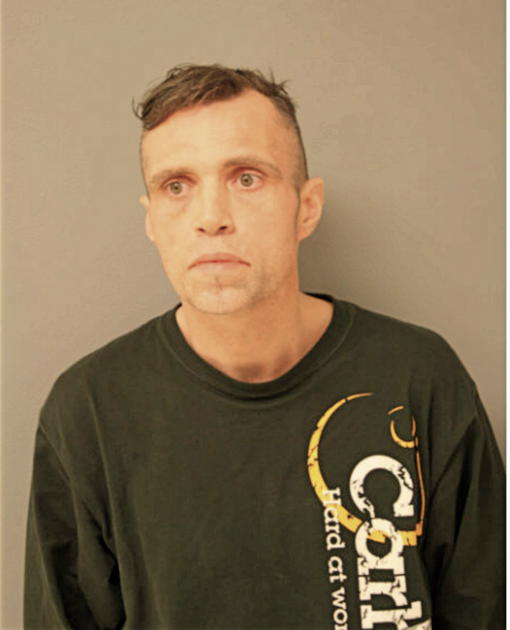 THOMAS P STEVENS, Cook County, Illinois