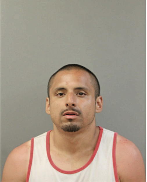 FRANCISCO J VEGA, Cook County, Illinois