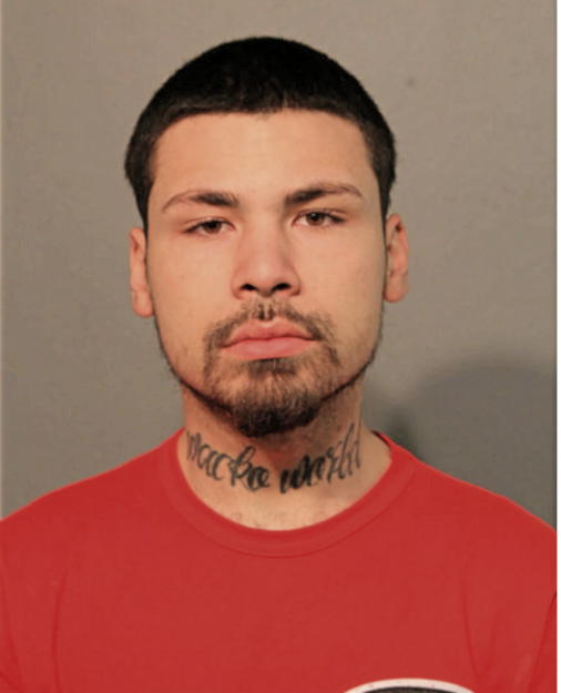 JUSTIN J VENTURA, Cook County, Illinois