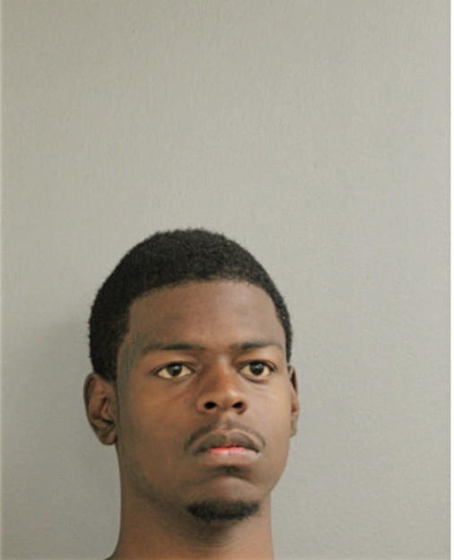 ANTHONY K WILLIAMS, Cook County, Illinois
