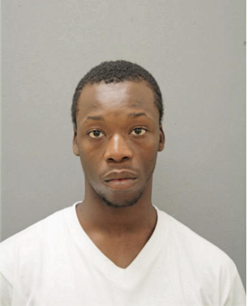 WILL P ALSTON, Cook County, Illinois