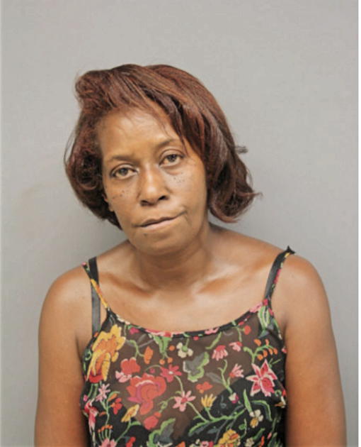 SHIRLEY A APPLETON, Cook County, Illinois