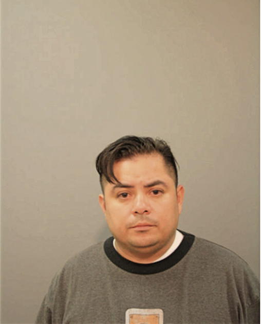 RICARDO DELGADO, Cook County, Illinois