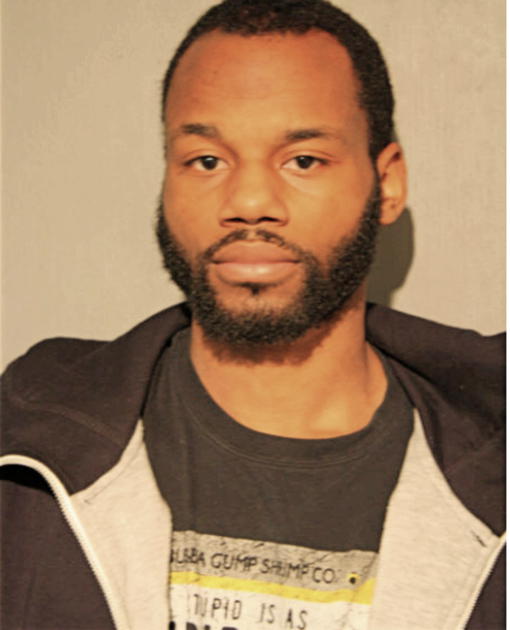 DORIAN E DUDLEY, Cook County, Illinois