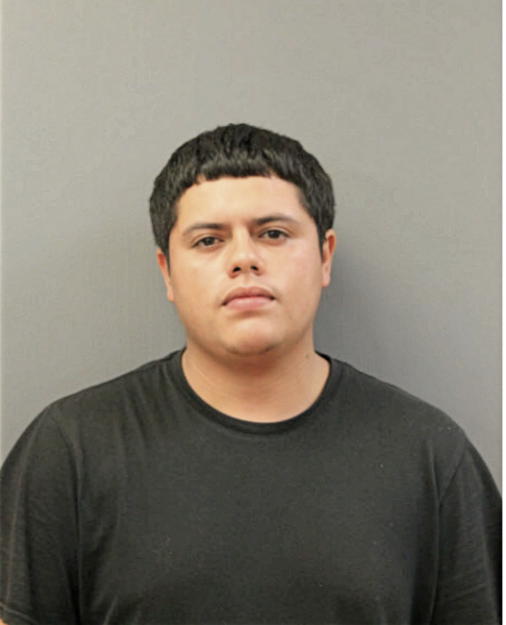 VICENTE ESPANA, Cook County, Illinois