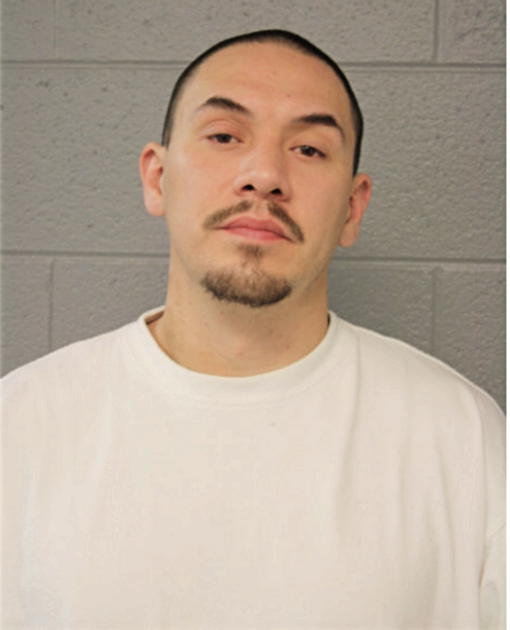 JOHN A GONZALEZ, Cook County, Illinois