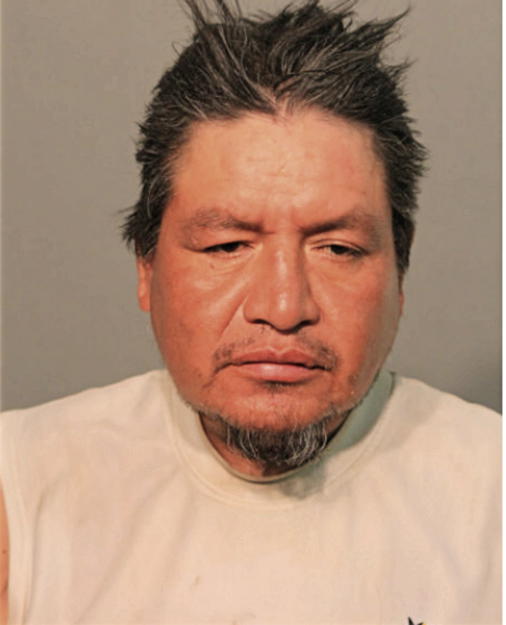 FLAVIO GUACHICHULLCA, Cook County, Illinois