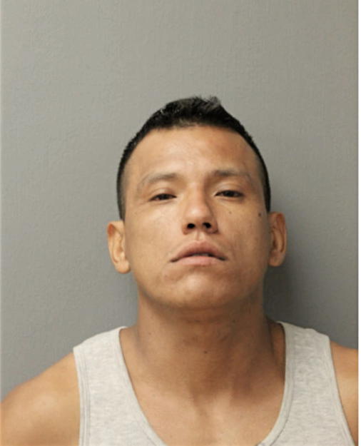 JAVIER GUZMAN, Cook County, Illinois