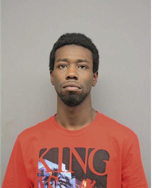 DAVID L HILL, Cook County, Illinois