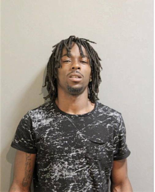 MAURY J HORTON, Cook County, Illinois