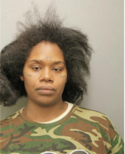CAMILLE M JOHNSON, Cook County, Illinois
