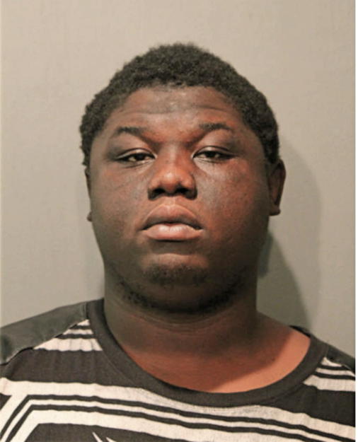MATTHEW J JOHNSON, Cook County, Illinois