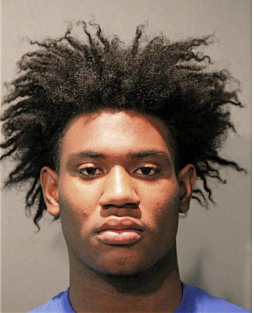 TERRELL L JONES, Cook County, Illinois