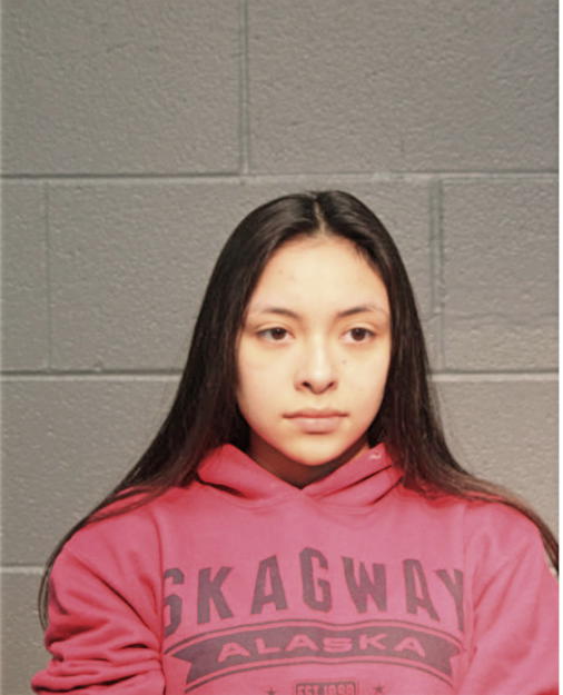 ALEXANDRA MARTINEZ, Cook County, Illinois