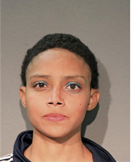 AYANNA N MARTINEZ, Cook County, Illinois