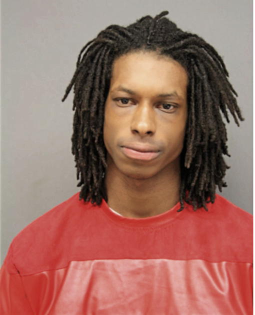 ANDREA J MCGHEE, Cook County, Illinois