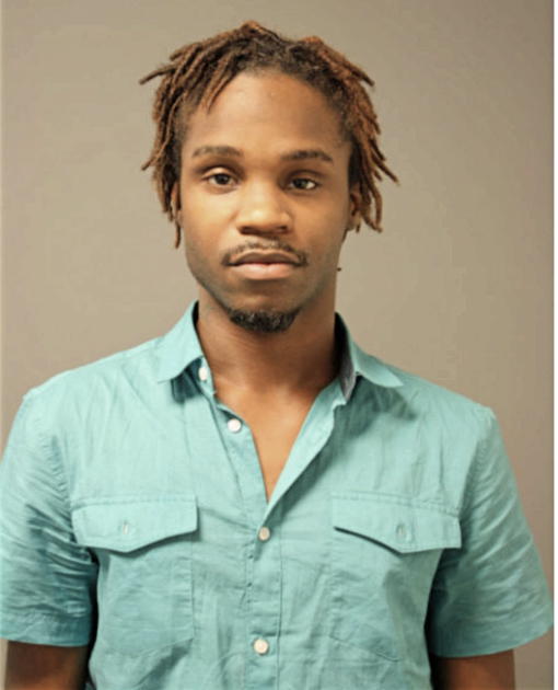 DARION G NORRIS, Cook County, Illinois