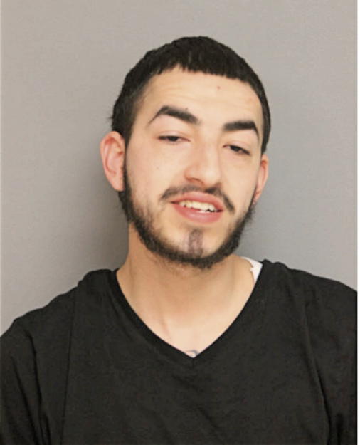 DANIEL ORTIZ, Cook County, Illinois