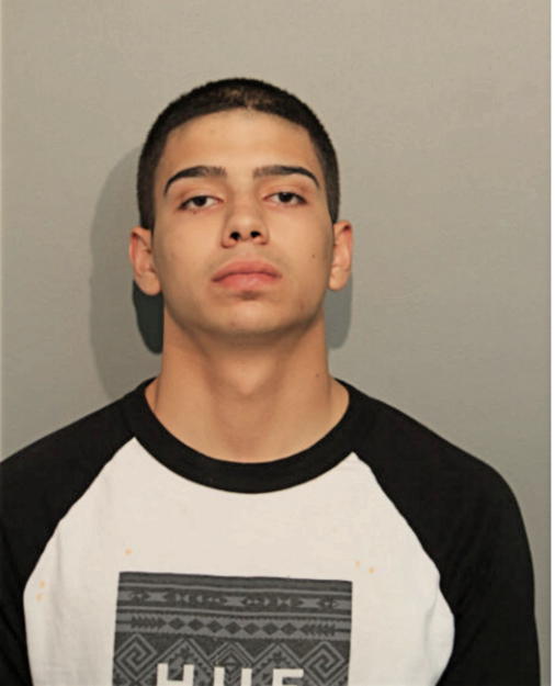 JOSEPH W PERKINS, Cook County, Illinois