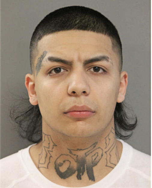 ANTHONY REDISI, Cook County, Illinois