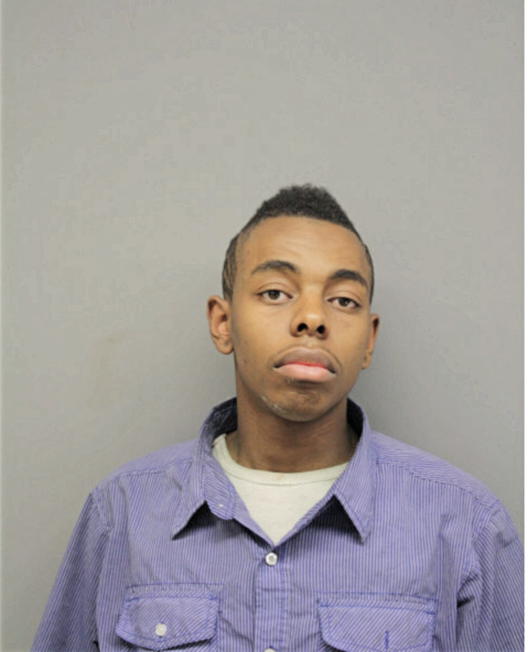 CHRISTOPHER D RICE, Cook County, Illinois