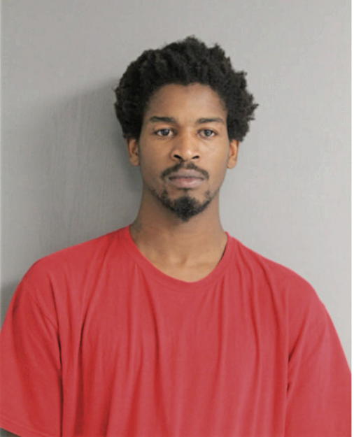 JULIAN D RICE, Cook County, Illinois