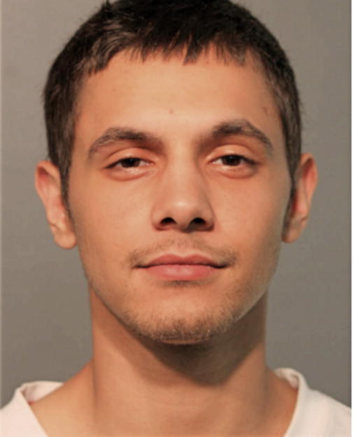 REGGIE D ROSARIO, Cook County, Illinois