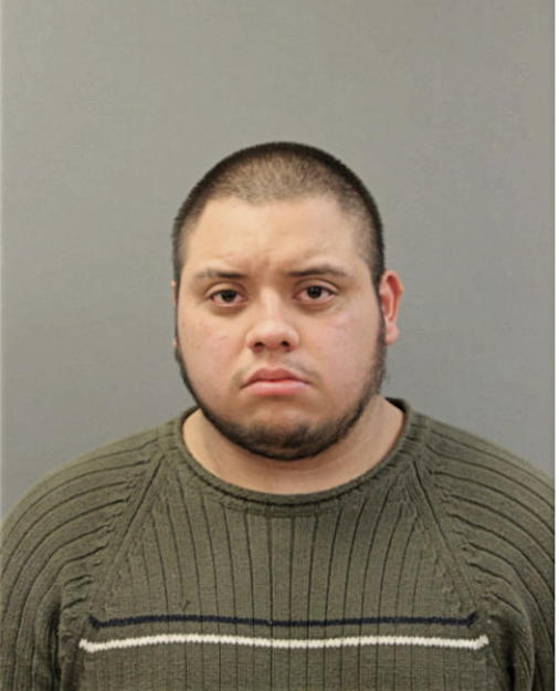 MICHAEL J SALGADO, Cook County, Illinois