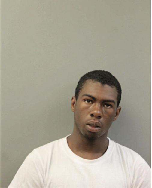 TYLER J STINNETT, Cook County, Illinois