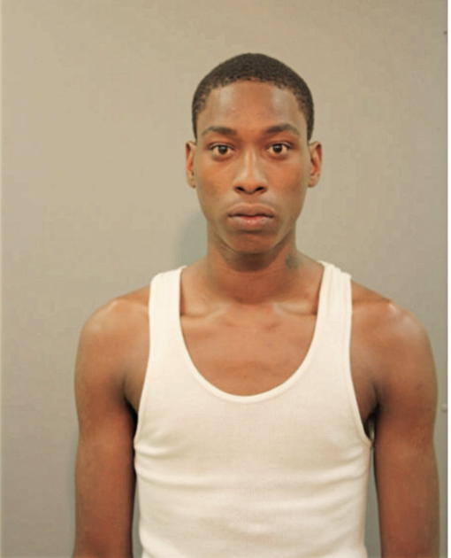 MICHAEL A WILLIAMS, Cook County, Illinois