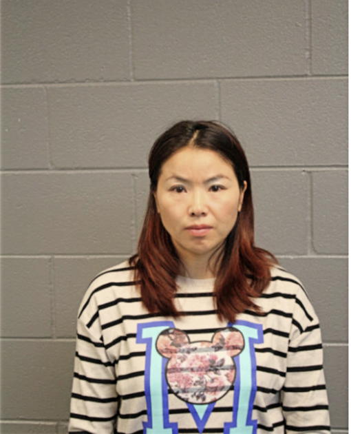 MEIJING ZHOU, Cook County, Illinois