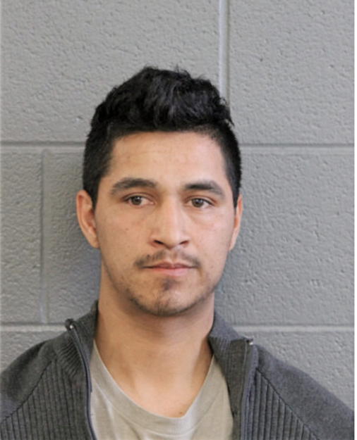 LUIS E ACOSTA, Cook County, Illinois