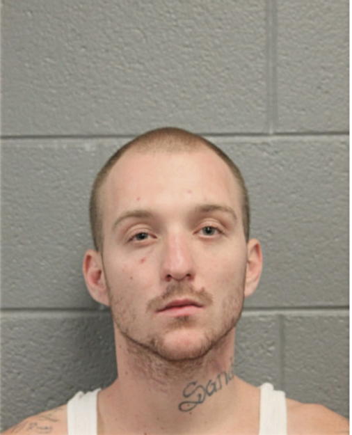 TERRY G ALLEN, Cook County, Illinois