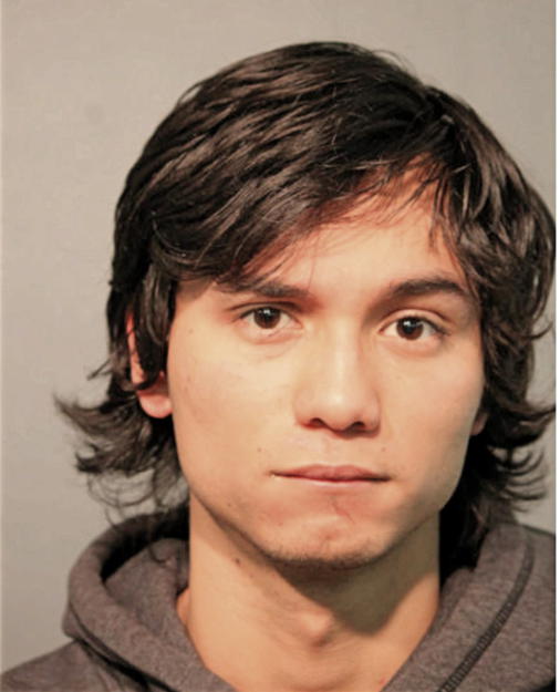 ISRAEL ARAUJO, Cook County, Illinois