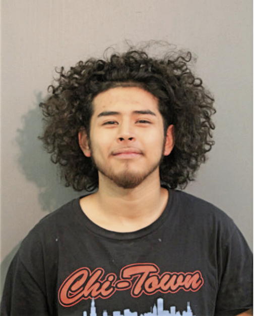 ALAN ARROYO, Cook County, Illinois