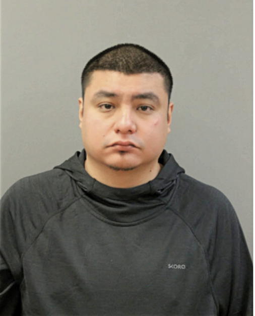 NOE BANUELOS, Cook County, Illinois