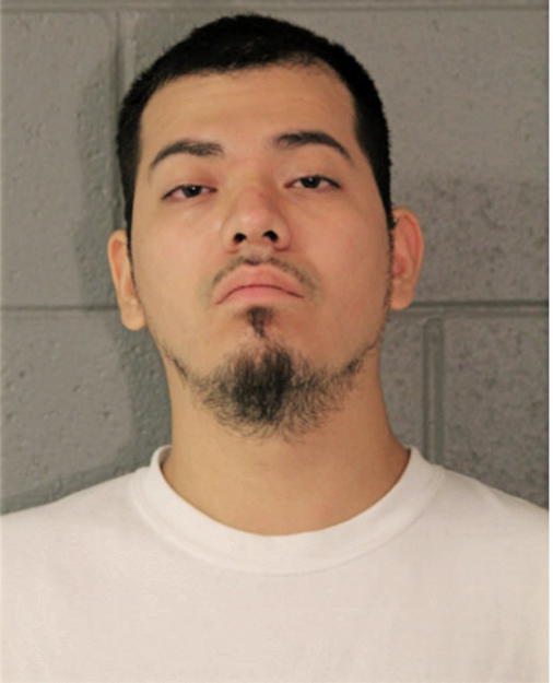 ANGEL DELGADO, Cook County, Illinois