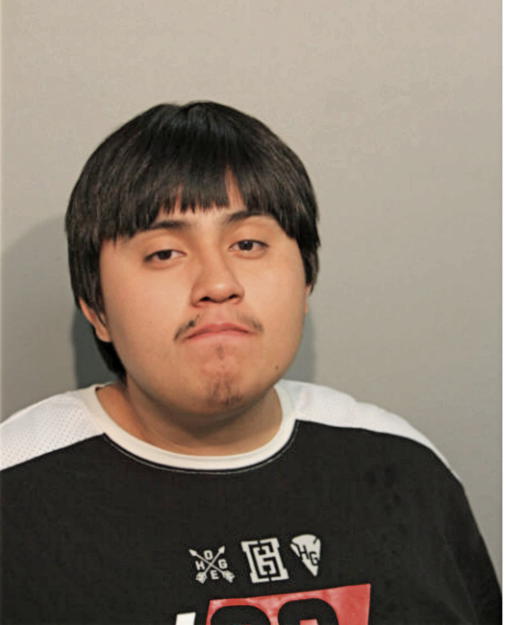 ISMAEL DUARTE, Cook County, Illinois
