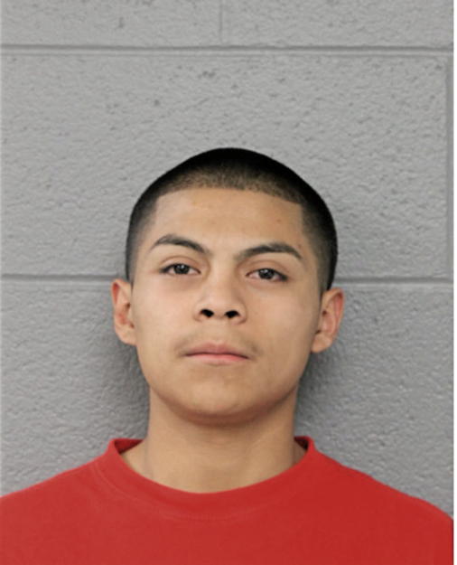 JULIO FERNANDEZ-PENA, Cook County, Illinois